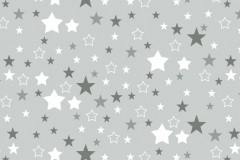 gwiazdozbior-na-szarym