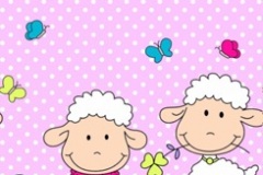 owca-roz-fiolet